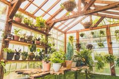 the inside of a greenhouse filled with potted plants