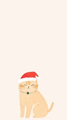 a cat wearing a santa hat sitting down