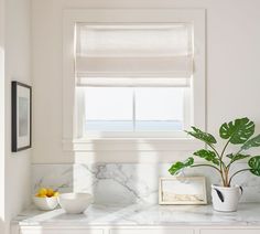 a kitchen with marble counter tops and white cabinets, along with a potted plant