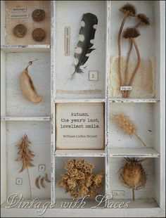 an assortment of dried flowers and plants displayed in a box with words written on it