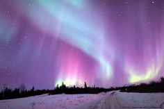 the aurora bore is visible in the night sky above snow covered ground with trees on either side