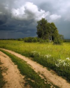 a dirt road in the middle of a grassy field with trees and flowers on either side