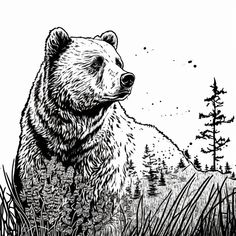 a black and white drawing of a bear sitting in the grass with trees behind it