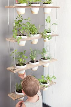 a little boy that is standing in front of a shelf filled with potted plants