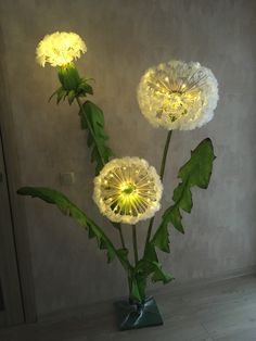 three dandelion flowers in a vase with green leaves on the bottom and white petals