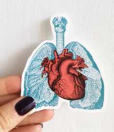 a hand holding a sticker with a drawing of a heart and lungs on it