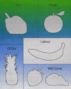 four different types of fruit and their names