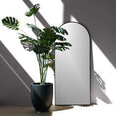 a potted plant next to a mirror on a table