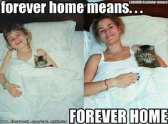 two pictures of a woman laying in bed with her cat and the caption love is growing old together