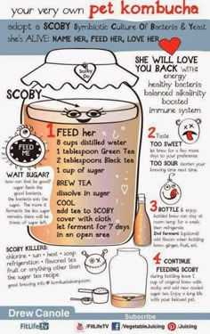 a poster with instructions on how to drink pet kombucha