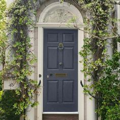 a black front door surrounded by greenery