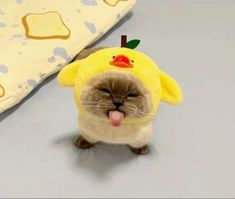 a cat with a yellow duck hat on it's head sitting next to a pillow