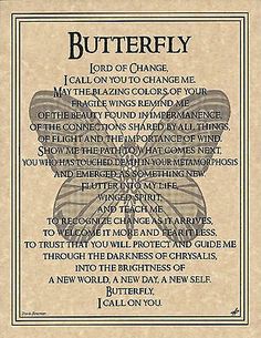 a poem written on parchment paper with an image of a butterfly and the words,'butterfly