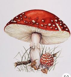 a painting of two mushrooms on the ground