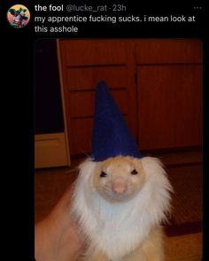 an animal with a blue hat on it's head sitting in someones hand