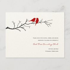 a red bird sitting on top of a tree branch with the words love is in the air