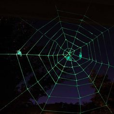 a spider web is lit up at night with bright green lights on it's sides