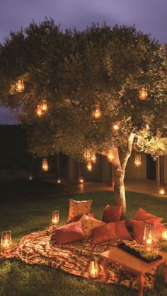 . Night Picnic, Dream Dates, Cute Date Ideas, Romantic Dates, The Grass, Dream House Decor, Pretty Places, Backyard Decor, Dream Garden