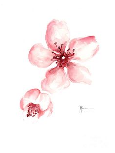 two pink flowers are shown in this watercolor painting on white paper, with one flower blooming and the other blossoming