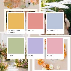 the color palette is peach, peach, bluebell, lilac and peony