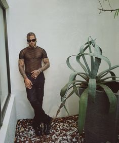 a man standing next to a potted plant in front of a window with his hands on his hips