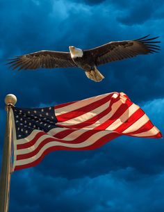 an eagle flying next to the american flag