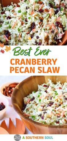 the best ever cranberry pecan slaw