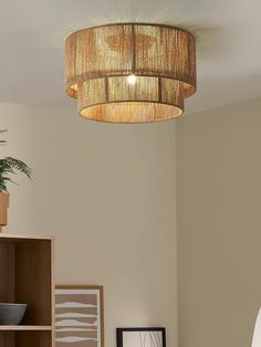 a light that is hanging from the ceiling in a room with a book shelf and potted plant