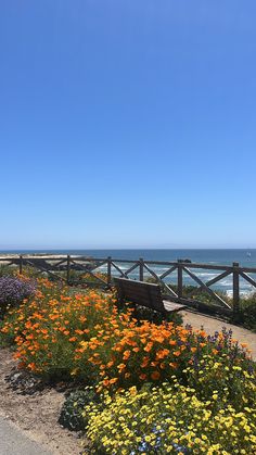 a wooden bench sitting on top of a lush green hillside next to the ocean with wildflowers