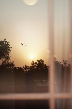 two birds flying in the sky at sunset through a window pane with trees outside