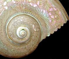 an intricately designed glass bowl on a black background