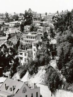 black and white photograph of an old town with lots of trees in the foreground