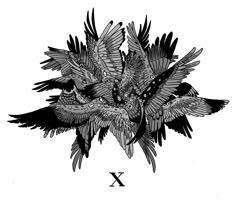 a black and white drawing of two birds flying over each other with the letter x below it