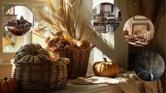 a window sill filled with lots of different types of pumpkins