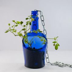 a blue glass bottle with a plant in it is chained to a metal chain on a white surface