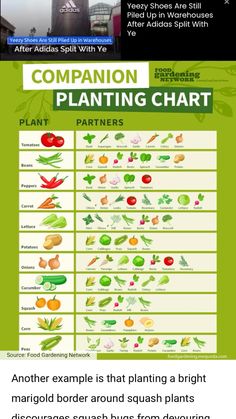 the plant chart shows different types of vegetables