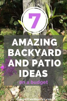 a tree trunk with the words 7 amazing backyard and patio ideas on it in purple