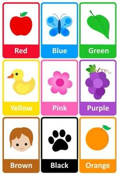 an image of children's educational flash cards with animals and fruits for learning colors