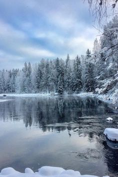 a lake surrounded by snow covered trees in the middle of winter with ice on the water