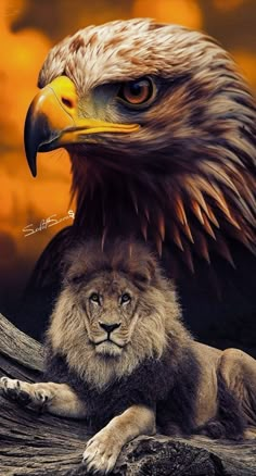 an eagle sitting next to a lion on top of a tree branch