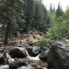 a stream running through a forest filled with lots of rocks and trees in the background