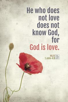 a red flower with the words god is love