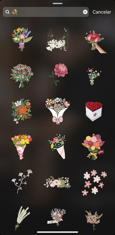 an iphone screen with flowers on it and the text, flower stickers are shown