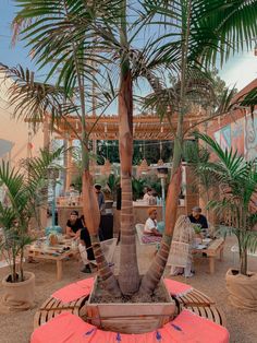 a palm tree sitting on top of a wooden table