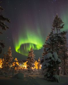 the northern lights shine brightly over snow covered trees