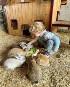 Farm Kids Aesthetic, Baby Aesthetic Girl, Country Family Aesthetic, Knox Eden, Memphis Ward, Country Childhood, Cows Aesthetic, Porsche Mom, Range Rover Mom