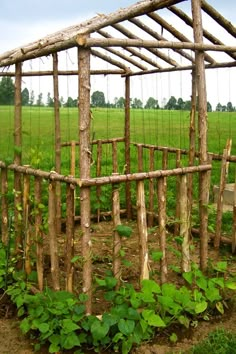 a wooden structure with plants growing in it