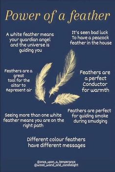 Feathers In Witchcraft, Gray Feather Spiritual Meaning, Gray Feather Meaning, Feather Spiritual Meaning, White Feather Meaning, Feather Color Meaning, Feather Identification, Feather Magic, Finding Feathers