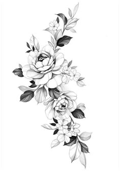 a black and white drawing of flowers with leaves on the bottom half of each flower