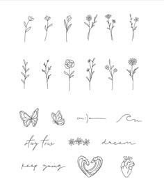 flowers and butterflies are drawn in different ways